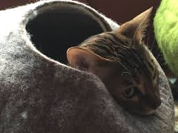 Cat House Bed Cave Handmade Felted Sheep Wool Xl Extra Large For 1626 Pounds Cat Sand Brown Find Out More About The Great Produ Cats Cat House Wool Cat