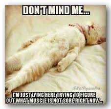 Is It Hot In Here Or Is It Just Me Meme Don T Mind Me I M Just Lying Here Trying To Figure Out What Muscle Is Not Sore Right Now Workoutmemes Workout Funny Gym Quotes Gym Humor Workout Humor