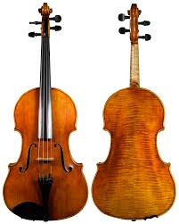 Image result for Viola