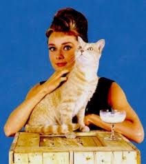 We did not find results for: Cats Dimly And In Flashes Kay Square Press Inc