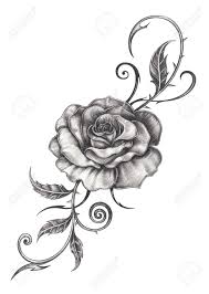 44 best amazing tattoo drawings on paper images on. Art Rose Tattoo Hand Drawing On Paper Stock Photo Picture And Royalty Free Image Image 125205351