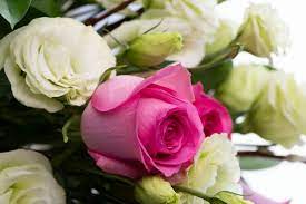 Maybe you would like to learn more about one of these? The Gorgeous Flower Company Home Facebook