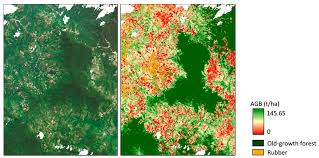 The consultant undertaking the environmental impact assessment is ere consulting group sdn bhd. Land Free Full Text Estimation Of The Spatiotemporal Patterns Of Vegetation And Associated Ecosystem Services In A Bornean Montane Zone Using Three Shifting Cultivation Scenarios Html
