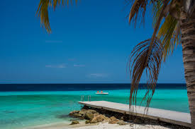 Image result for on a vacation