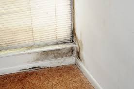 We did not find results for: Mold Inspection How Much Does It Cost Mold Inspection Monmouth Stock Environmental