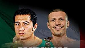 ▷ Fight Globe BV Videos & Streams