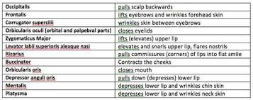 mantalis outlander anatomy