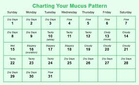 how to calculate safe period to avoid pregnancy cape02