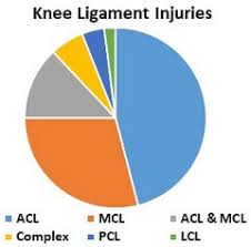 Knee Pain Diagnosis Knee Pain Explained