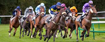 Maybe you would like to learn more about one of these? Jouer Au Tierce Pour Les Nuls