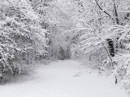 Free Winter Scenes Stock Photo Freeimages Com Lass dich inspirieren und probiere neue dinge aus. free winter scenes stock photo