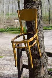 Les arbres remarquables de normandie, de france et d'ailleurs, photos, illustrations et histoires. Chaise Cassee Suspendue A L Arbre Banque D Images Et Photos Libres De Droits Image 72952064