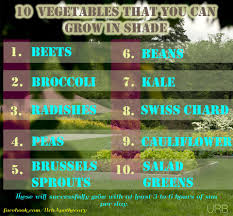 Shop healthful sun dried vegetable on alibaba.com at reasonable prices. 10 Vegetables That You Can Grow In The Shade Urban Organic Gardener