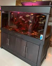 Find fish tanks at wayfair. Custom Made Solid Wood 6ft In Length And 2 5ft Width Comes With Sump Tank Pet Supplies Pet Accessories On Carousell