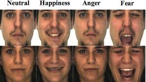 1905.05416] Expression Conditional GAN for Facial Expression-to-Expression  Translation