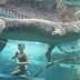 This is how they swim in the Northern Territory. Picture: Instagram ...