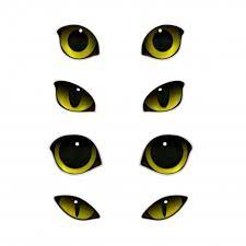 Scarica Gratis Set Realistico Di Occhi Di Gatti Cat Eyes Drawing Cat Eye Tattoos Eye Illustration