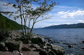 3,723 likes · 563 talking about this. Loch Ness Otwor Jezioro Szkocja Nessie Potwor Krajobraz Woda Drzewo Natura Pikist