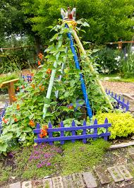 See more ideas about pole beans, garden trellis, veggie garden. How To Make A Simple Trellis For Pole Beans