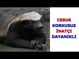 Beyaz Rusya Nasil Bir Ulkedir Youtube