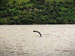 Does anyone know the origin of this supposed photo of the Loch Ness  Monster? : r/Cryptozoology