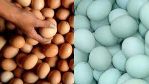 Berikut adalah perbandingan beberapa kandungan gizi pada 100 gram telur ayam berbanding 100 gram telur itik. Selain Telur Ayam Telur Itik Juga Mengalamai Kenaikan Harga Sijoripost