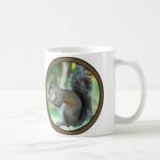 Squirrel Mugs Zazzle Com In 2021 Mugs Personalized Coffee Mugs Custom Mugs