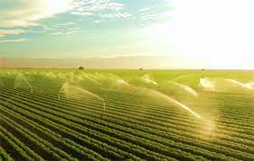 En La Agricultura Los Sistemas De Riego Son Utilizados Para Un Aprovechamiento Optimo Del Agua Servicio De Informacion Agroalimentaria Y Pesquera Gobierno Gob Mx