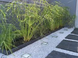 Des Allees Inspirees Pour Votre Jardin Jardins Amenagement Jardin Allee De Jardin
