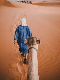 Good luck and have fun! Morocco S Sahara Desert Guide Morocco S Sahara Desert Guide By Paxton Visual Medium