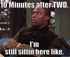 Oh I Already Know This Will Be Me On Sunday And Especially The Following Sunday For The Mid Season 6 Fi Walking Dead Funny The Walking Dead Walking Dead Memes