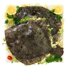 Maybe you would like to learn more about one of these? Come Cucinare Il Rombo Cucinarepesce Com
