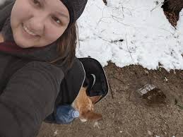Dirt road in Taos, New Mexico