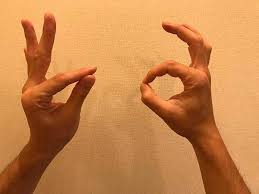 Image result for ææ&nbsp;¹ç®¡çåç¾¤ãæã§ä¸¸ãä½ããªã