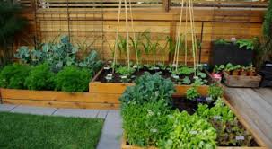 Jika kamu tidak memiliki kebun kamu bisa menggunakan pot untuk menghiasi teras rumah dengan berbagai macam bunga dan tanaman. Tips Menata Taman Di Lahan Sempit Citragarden Aneka