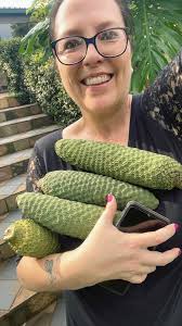 Hi all! I just wanted to introduce myself and share a photo that I took,  Monstera fruit harvest.