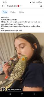 MISSING PLEASE IF YOU FIND HER PM ME VERY DEVASTATED RIGHT NOW