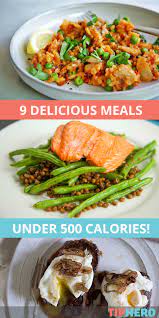 9 Under 500 Calorie Dinners Prove You Can Have Health And Taste Together Meals Under 500 Calories Healthy Dinner Healthy Recipes