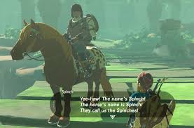 The dishes we'll cook in this video are all the dishes you'll need in . Breath Of The Wild Spicy Simmered Fruit Pixelated Provisions