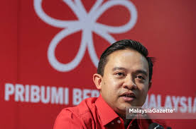Anwar Patut Bersara Daripada Teruskan Strategi Terdesak Kata Wan Saifull