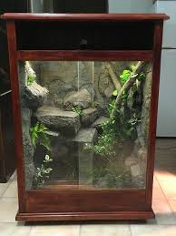 Https Www Facebook Com Scalesandtailscre Reptile Terrarium Tree Frog Terrarium Frog Terrarium