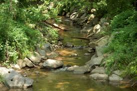 Cabin John Stream Valley Park