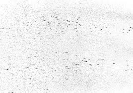 7 Noise Texture Overlays Png Transparent Onlygfx Com Dirt Texture Plastic Texture Overlays Transparent