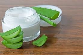 Evde Aloe Vera Kremi Nasil Yapilir Cilt Bakimi Aloe Vera For Hair Aloe Vera Aloe Vera Hair Growth