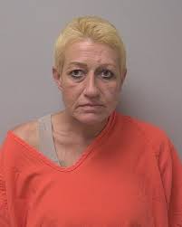 Marathon County Felony Crime Gallery for Aug. 29, 2024