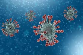 Coronavirus counter with new cases, deaths, and number of tests per 1 million population. May 6 Update Three New Covid Cases In Swindon