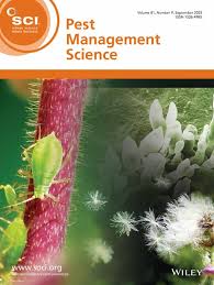 Image result for Cyphostemma crotalarioides