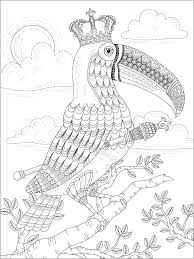 Toucan coloring pages for kids. Toucan Coloring Pages For Adult Coloringbay
