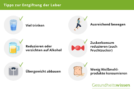 Nach einem jahr ohne alkohol hat sich der körper regeneriert und sich von den schäden durch das nervengift erholt. Leber Aufgaben Erkrankungen Entgiftung Vorbeugung