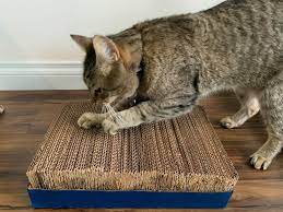 Cat scratcher made of pvc rope and barrel. Cat Enrichment Tools That You Can Make At Home Scratching Posts Killarney Cat Hospital